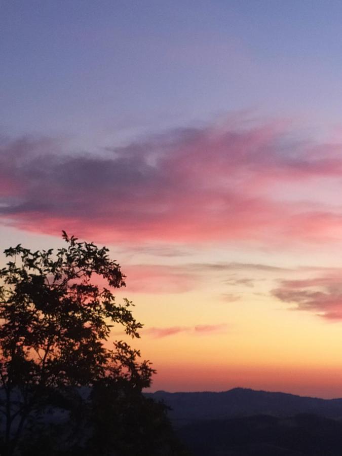 Fra Bosco E Cielo