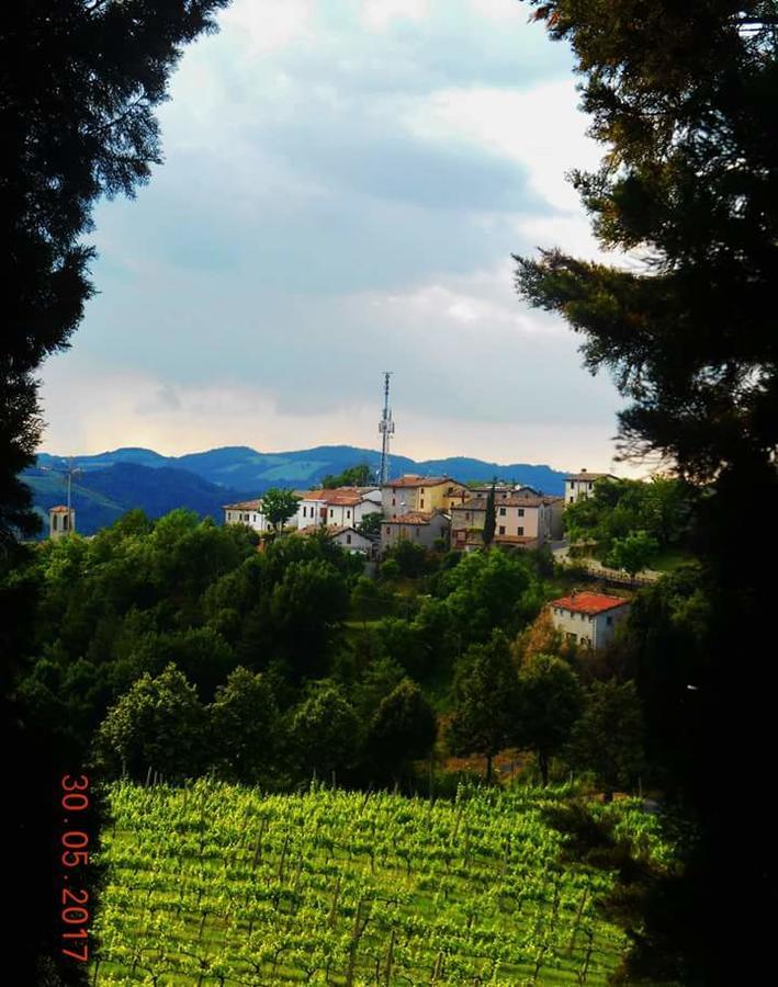 Fra Bosco E Cielo Apartment